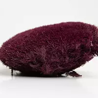 Стабилизированный мох Green Ecco Moss  кочка Пурпурная – PURPLE - 4 кг