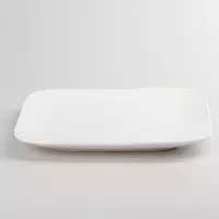 Тарелка фарфоровая плоская 24,5 см для сервировки